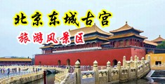 日本男生操御姐逼中国北京-东城古宫旅游风景区